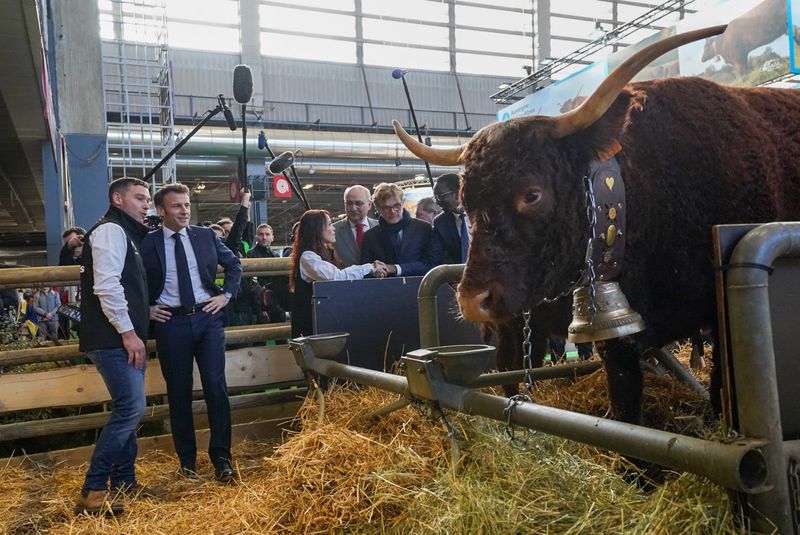 Emmanuel Macron tente de refaire surface sans trop cliver